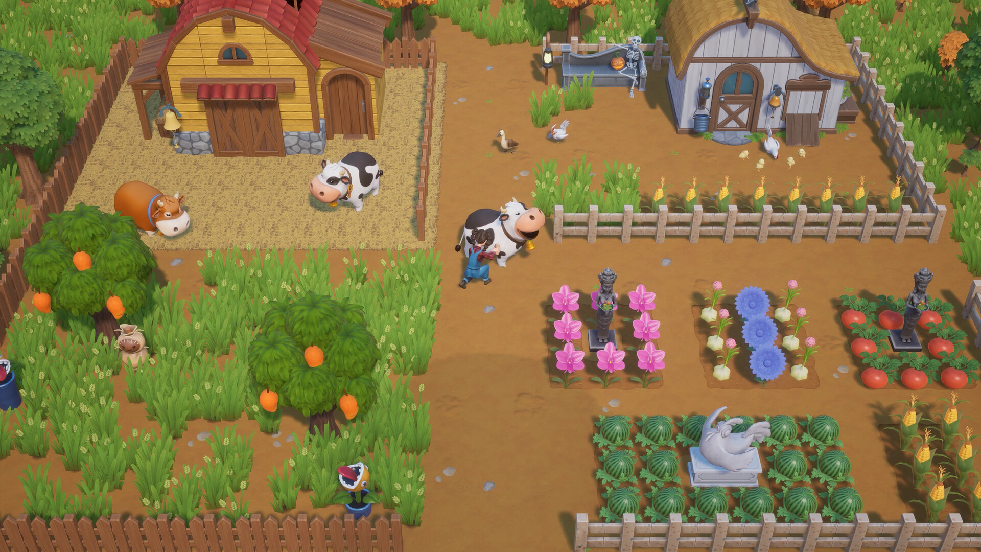 Coral Island farm on a tropical island with palm trees